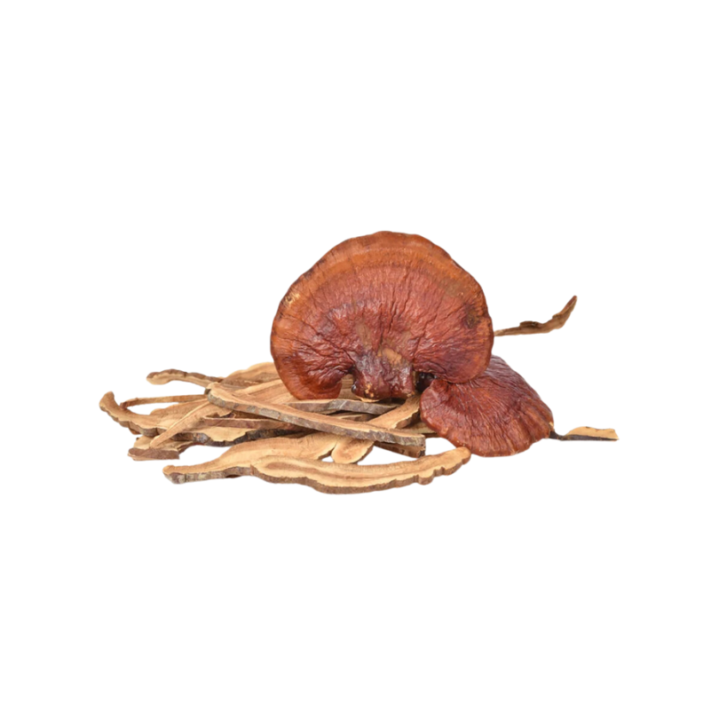 Reishi Mushrooms (Whole) - Organic and Dried Herbs