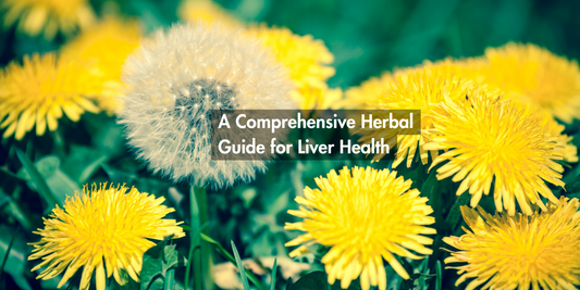 A Comprehensive Herbal Guide for Liver Health