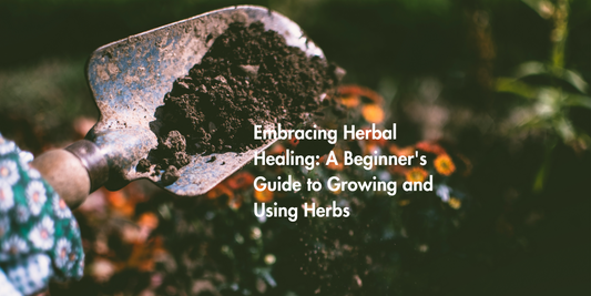 Embracing Herbal Healing: A Beginner's Guide to Growing and Using Herbs