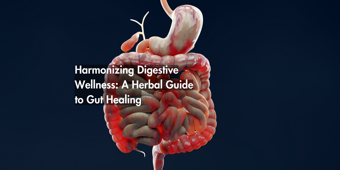 Harmonizing Digestive Wellness: A Herbal Guide to Gut Healing